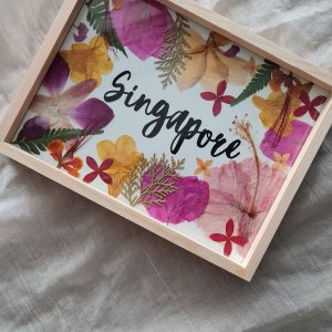 Singapore in Bloom – Limited Edition Pressed Flower Art Frame